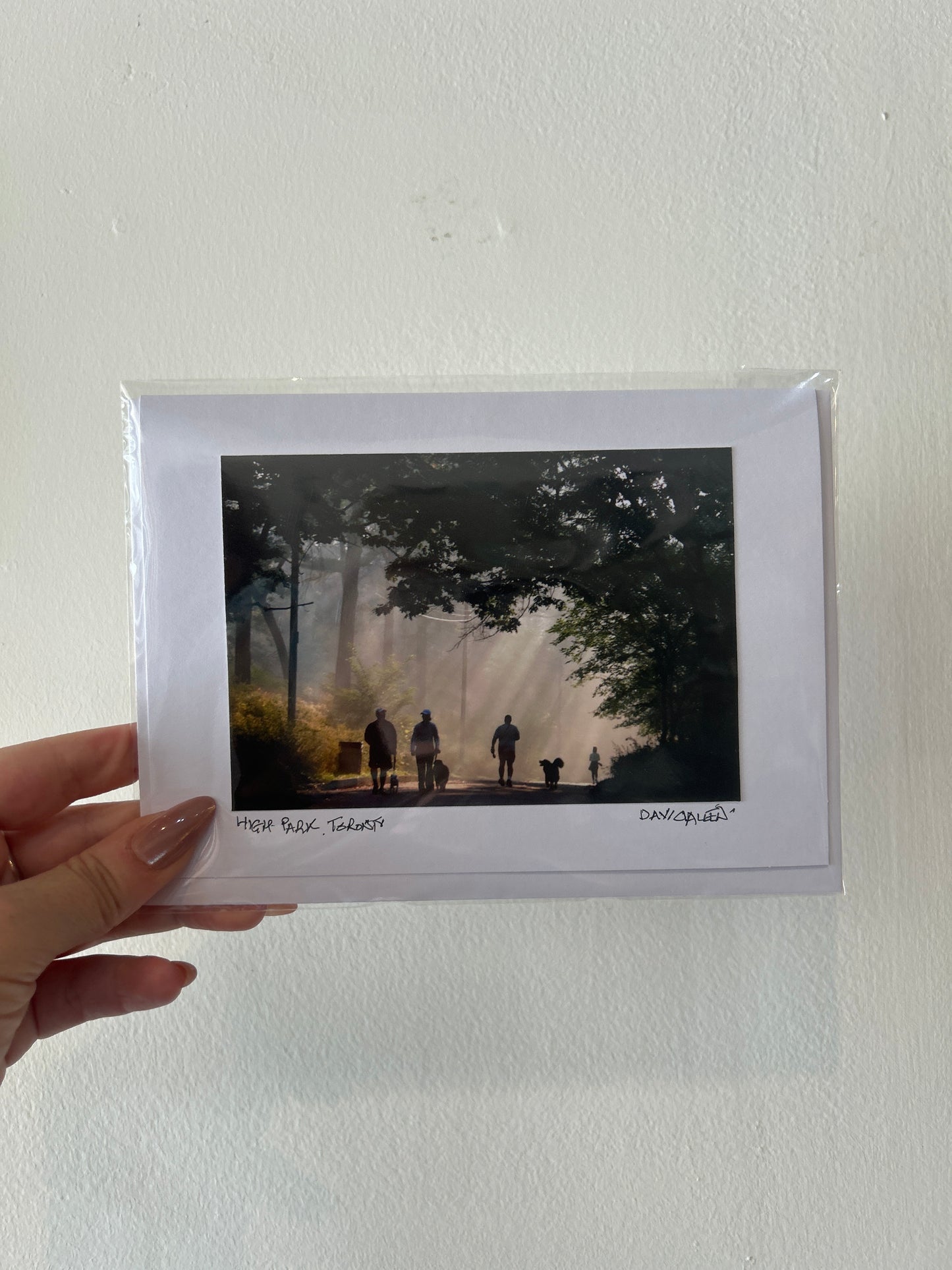 David Allen Photography Card - Sunbeam Walk