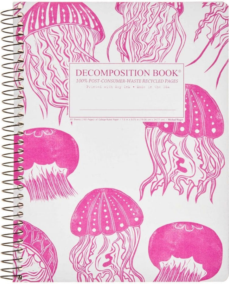 Decomposition Notebooks