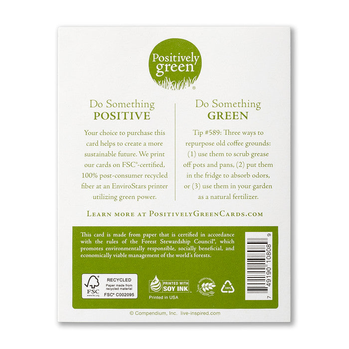 Positively Green Card - Every good thing - Birthday (Auerbach)