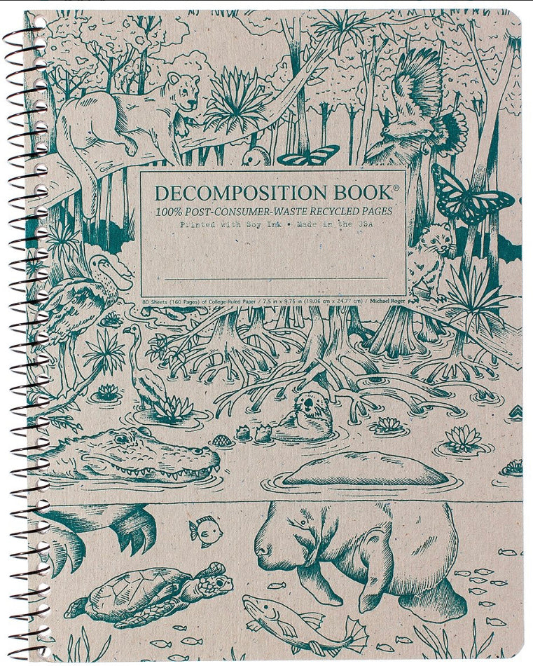 Decomposition Notebooks