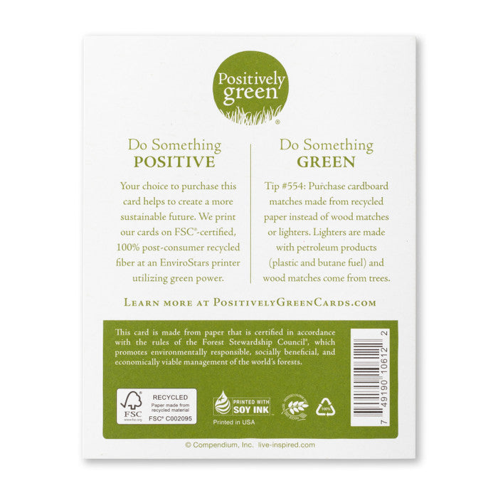 Positively Green Card - Hold Fast to Joy - Birthday (Sarton)