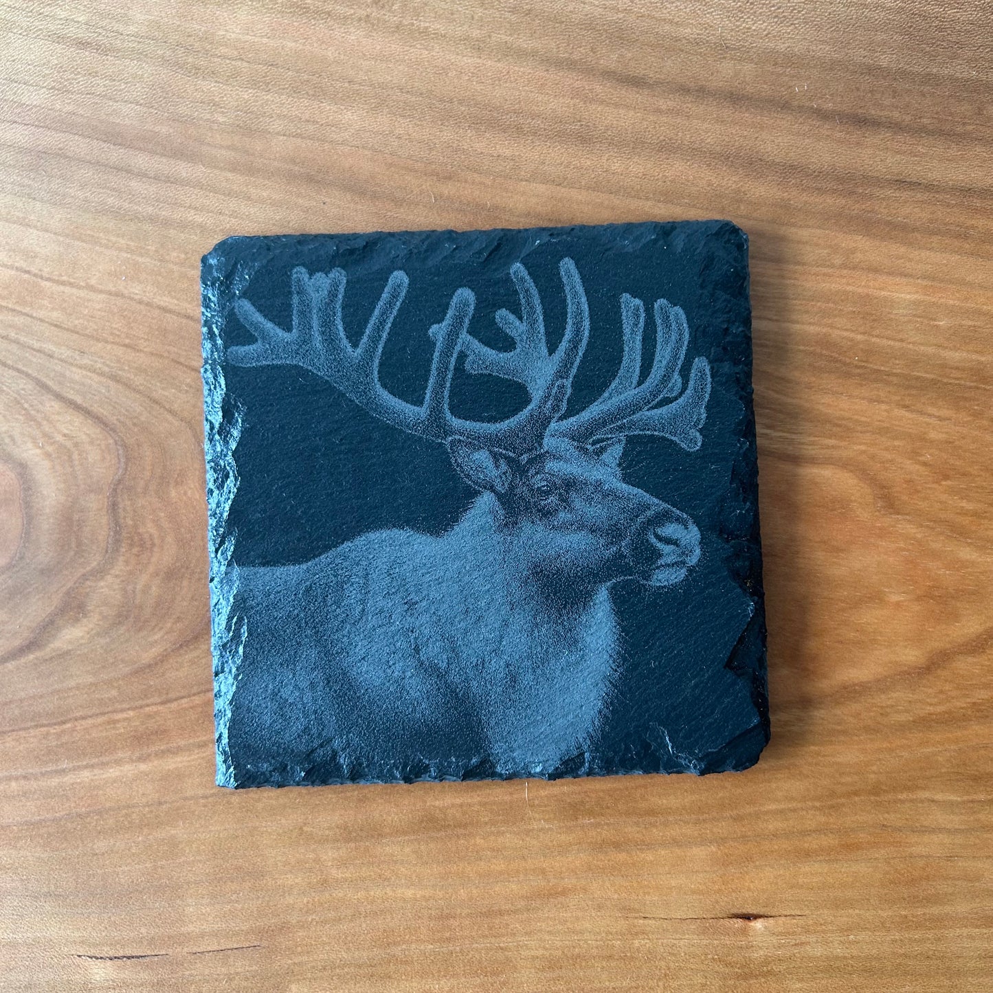 Natural Slate Animal Coasters