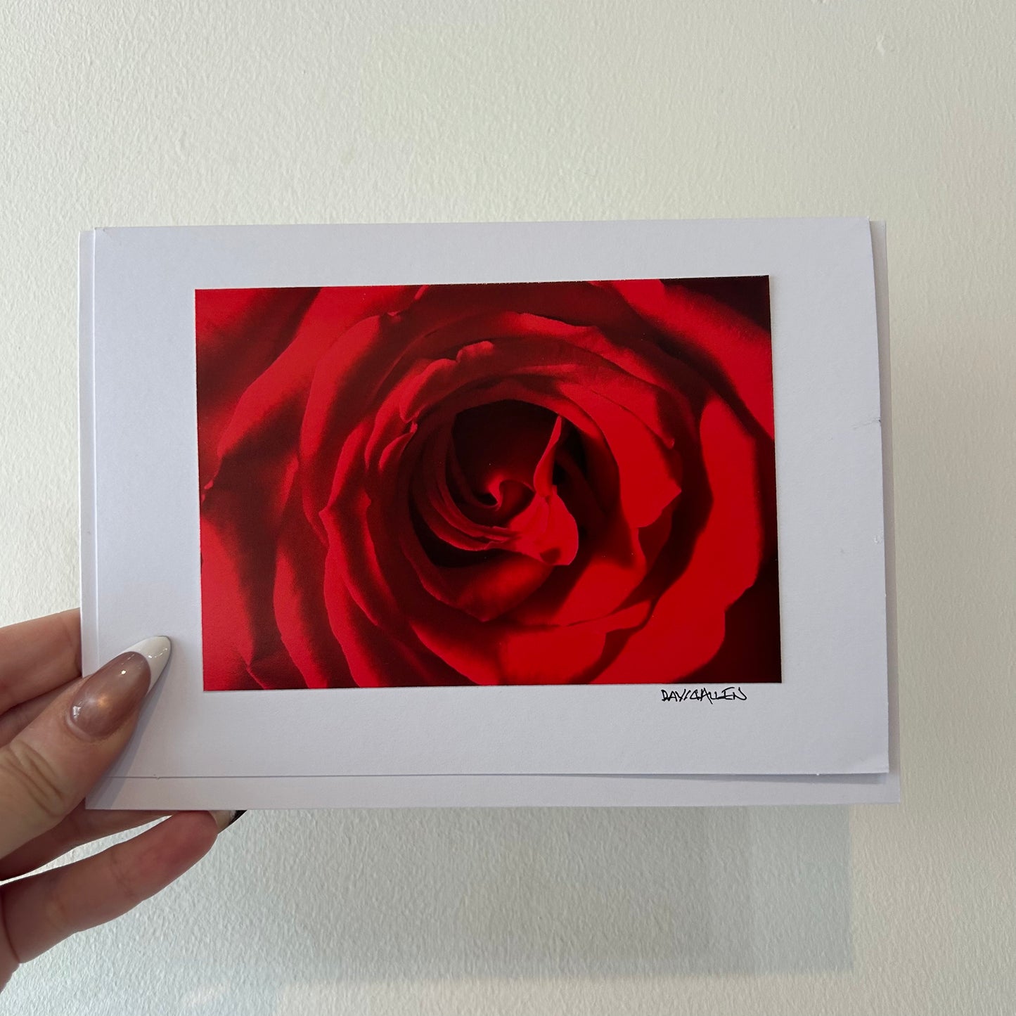 David Allen Photography Card - Red Rose
