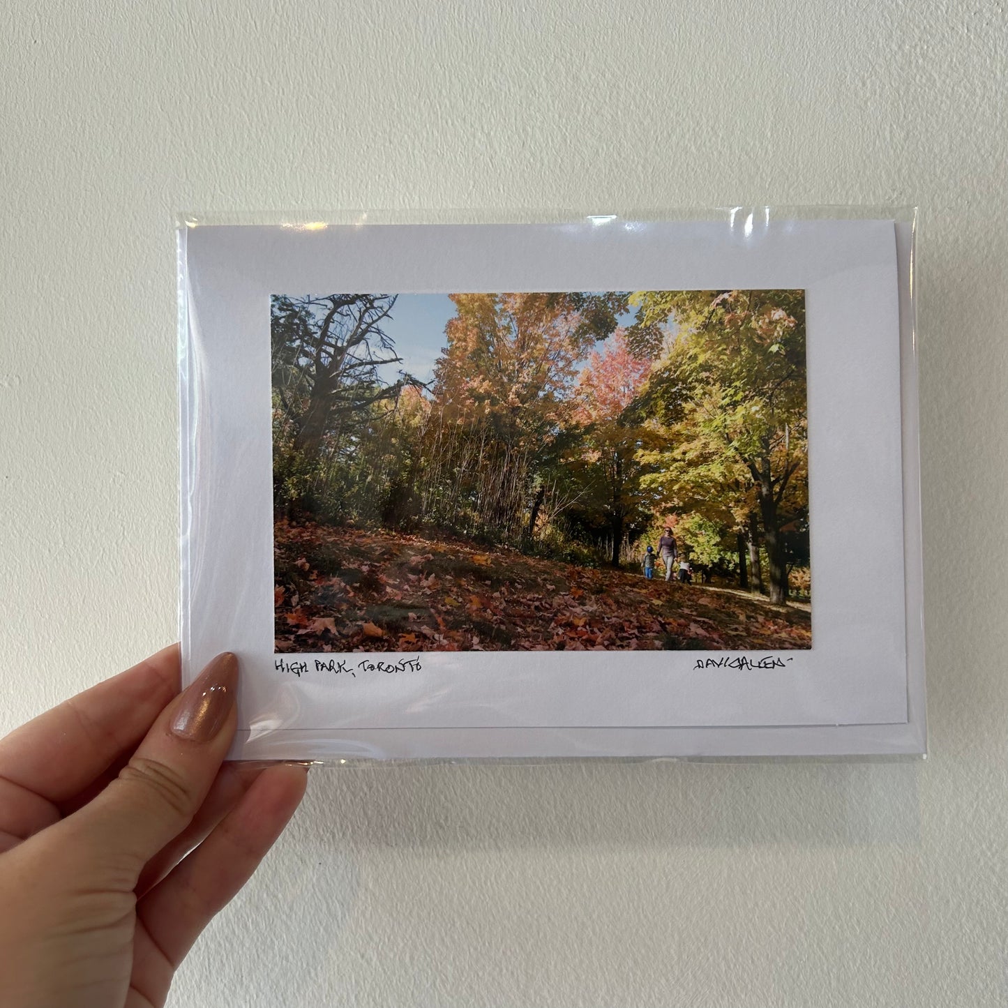 David Allen Photography Card - Family In Fall