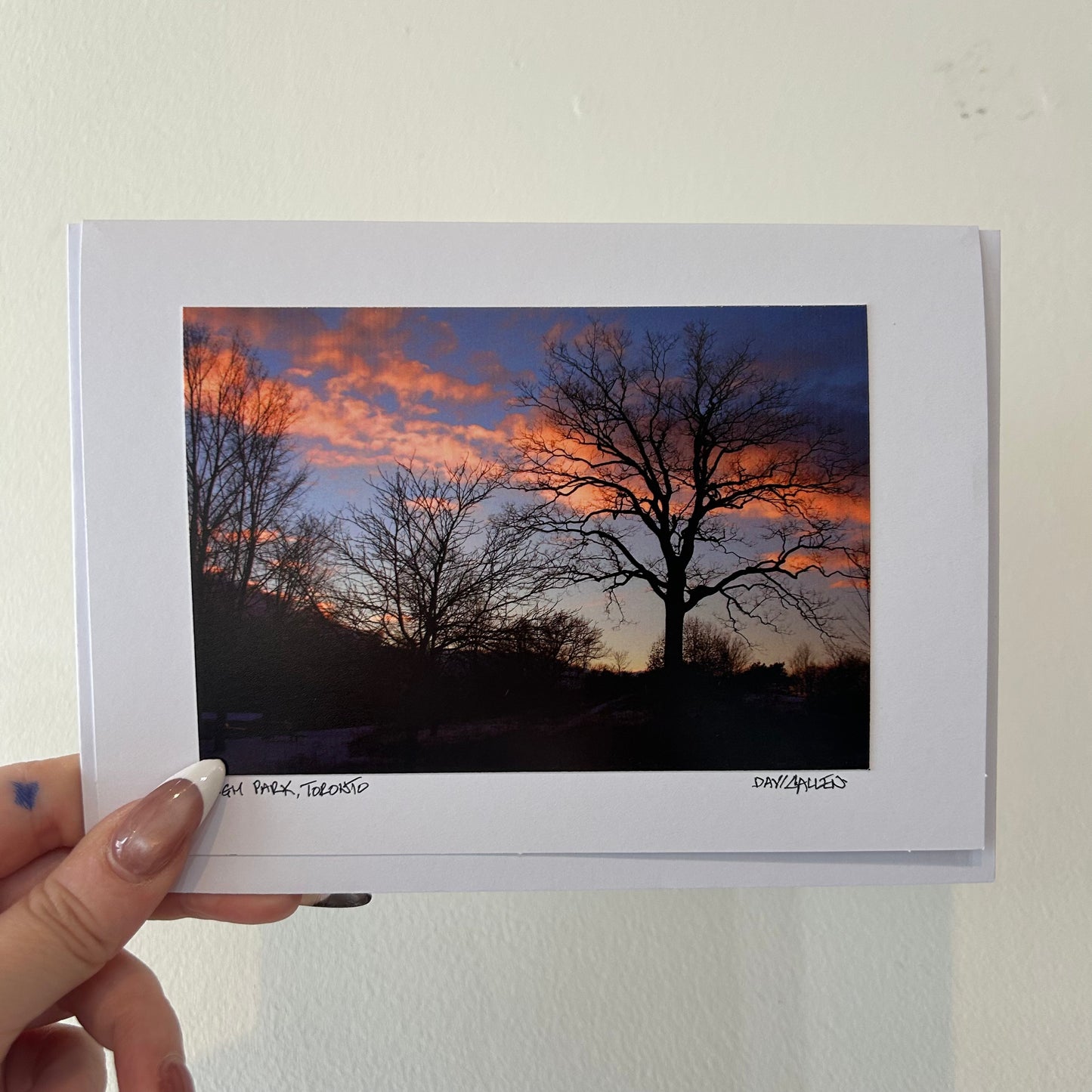 David Allen Photography Card - Sunset