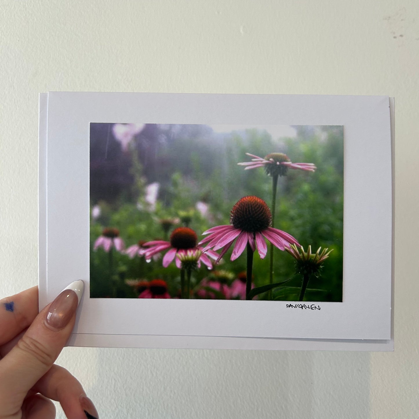 David Allen Photography Card - Echinacea