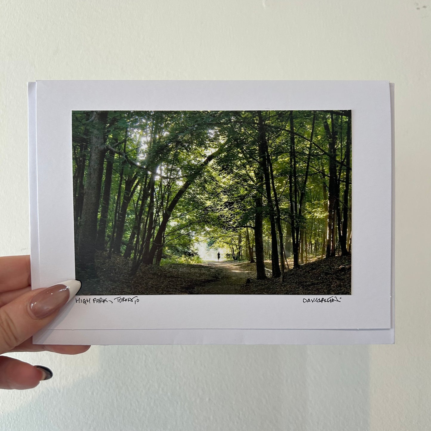 David Allen Photography Card - Summer Trail