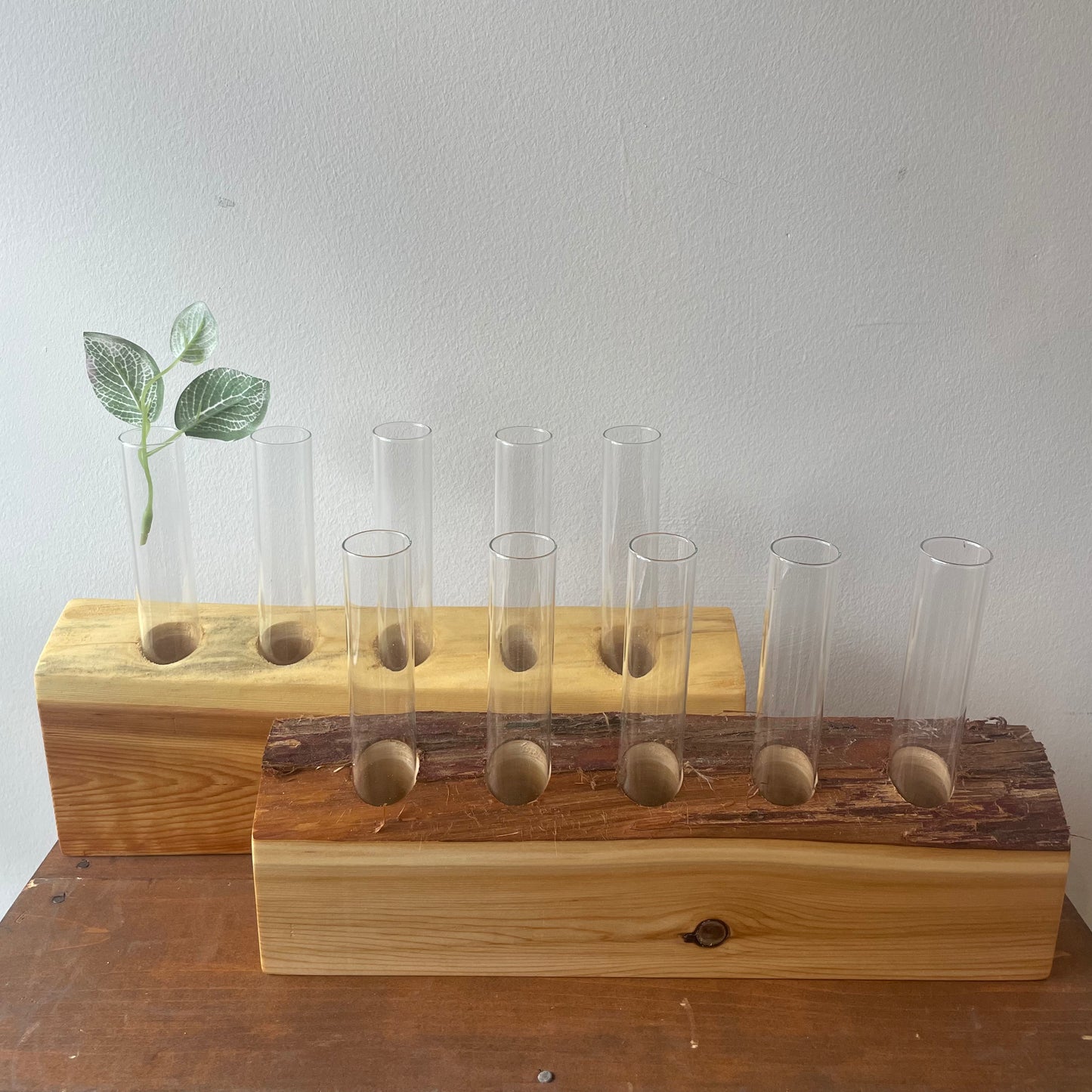 LivCan Handmade Live Edge Propagation Station