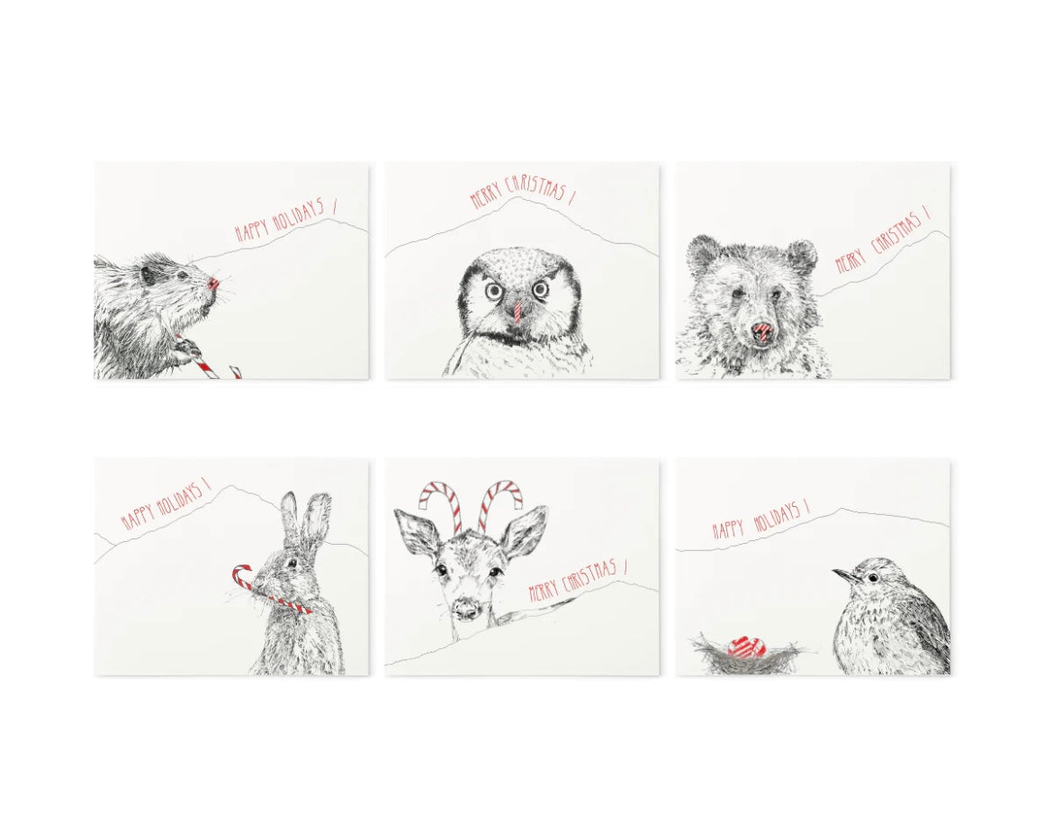 Petits Mots Cards - Candy Canes (Box Set)