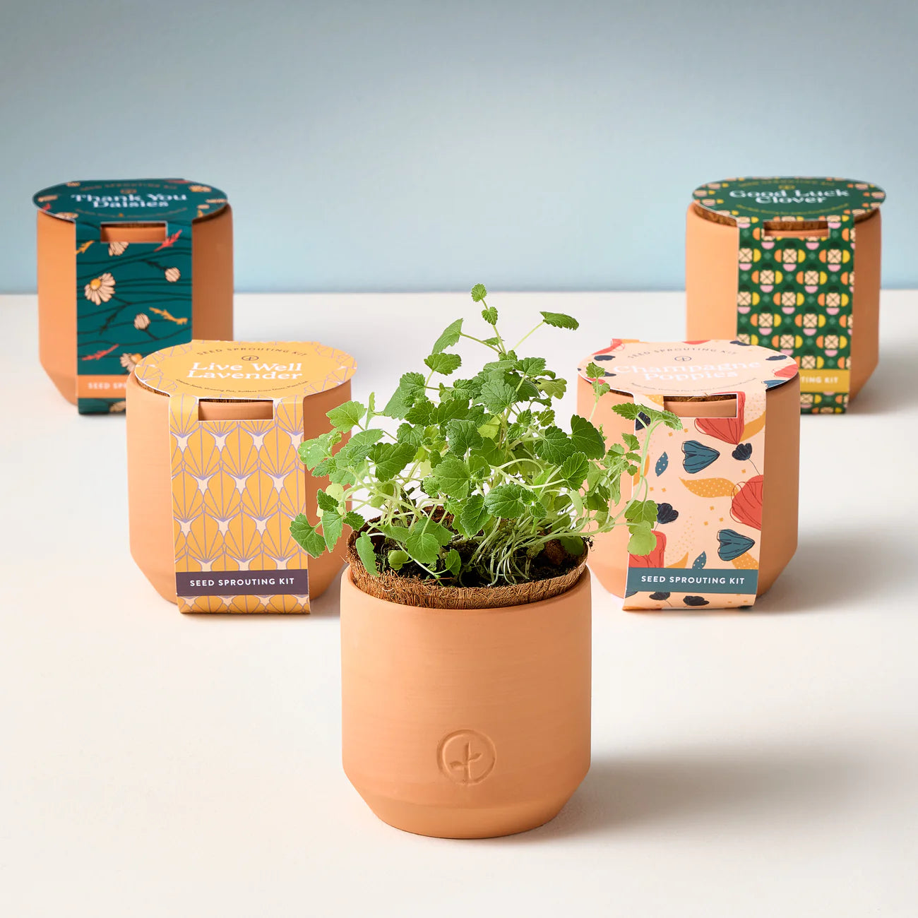 Modern Sprout Tiny Terracotta Kit