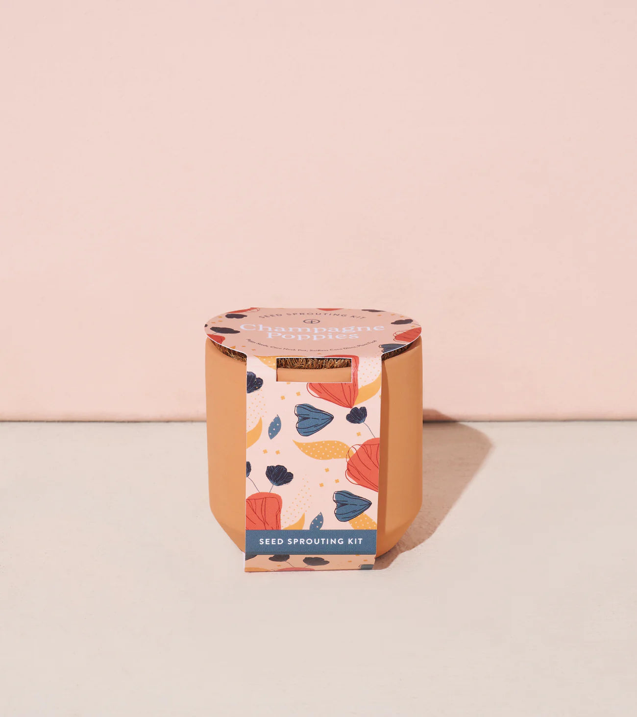 Modern Sprout Tiny Terracotta Kit