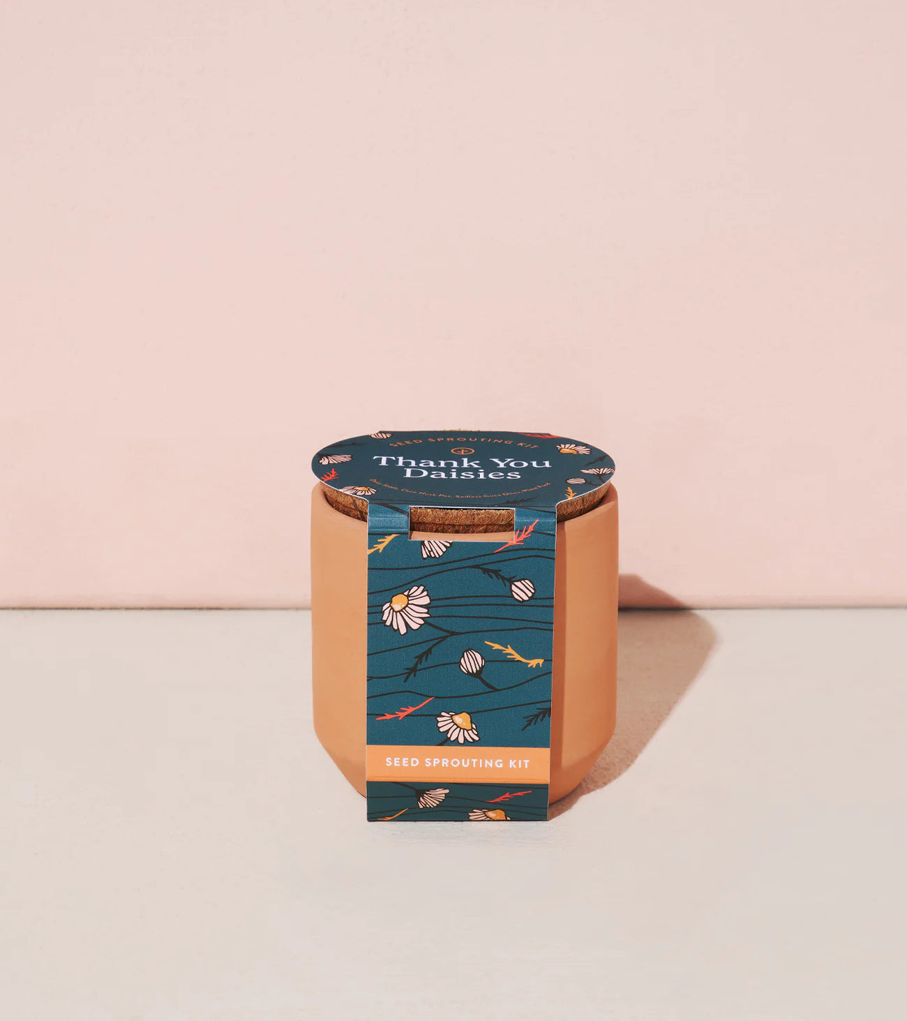 Modern Sprout Tiny Terracotta Kit
