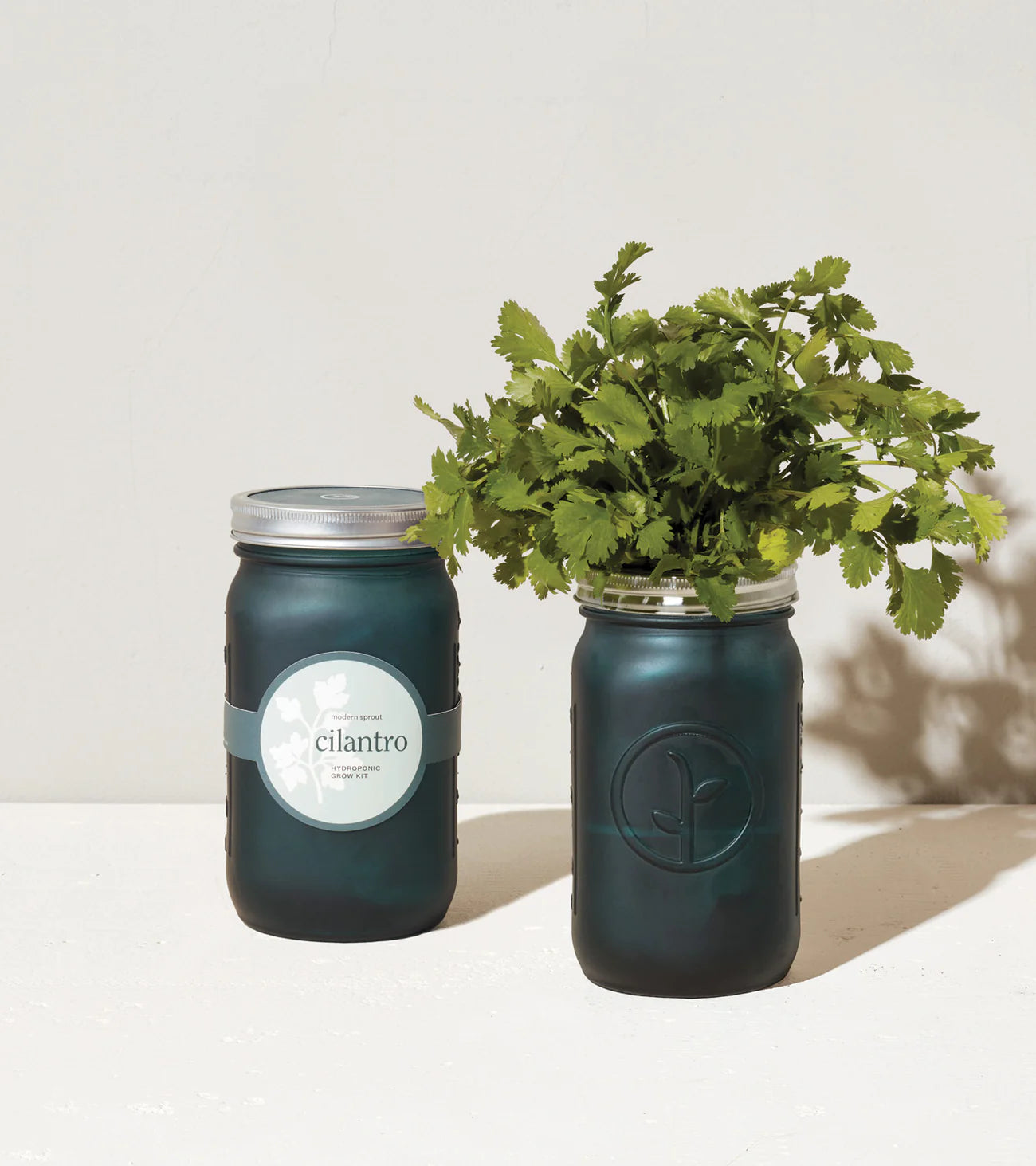 Modern Sprout Garden Jar