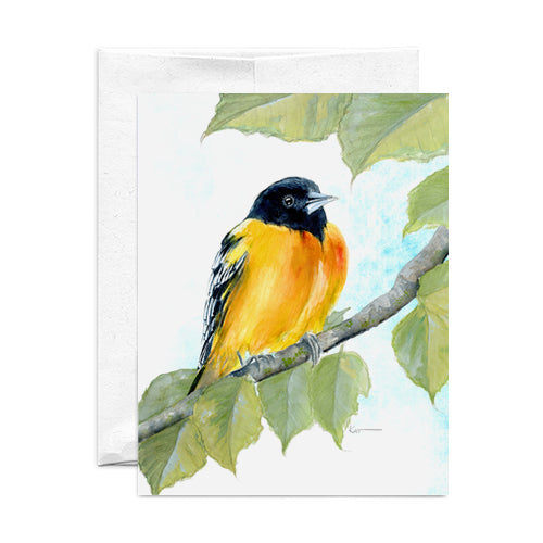 Kat Signature Card - Baltimore Oriole