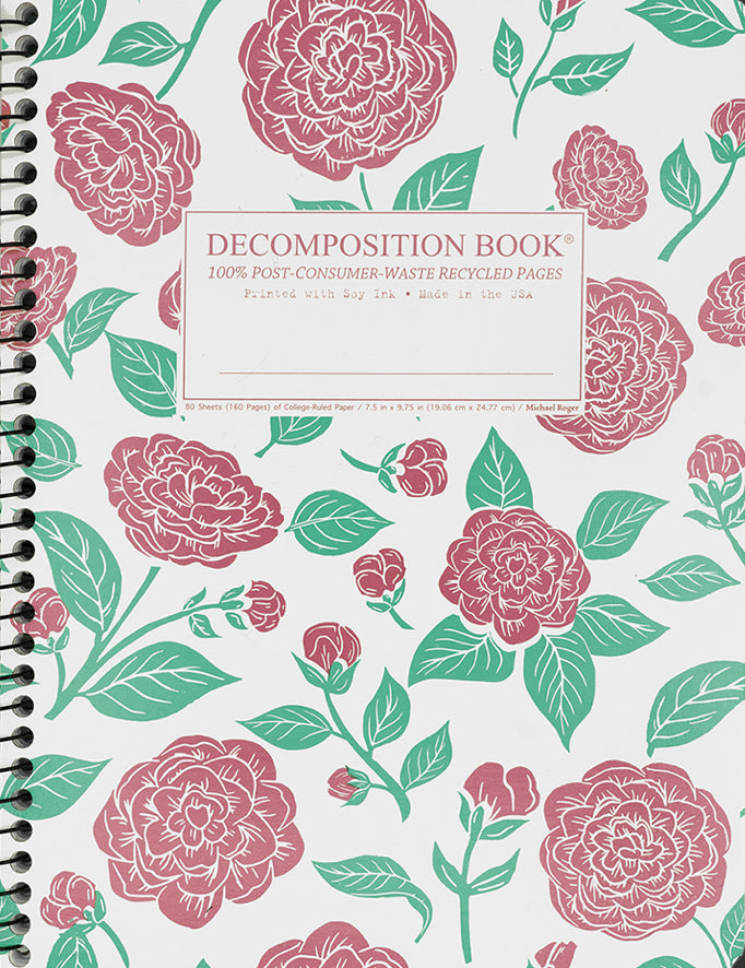 Decomposition Notebooks