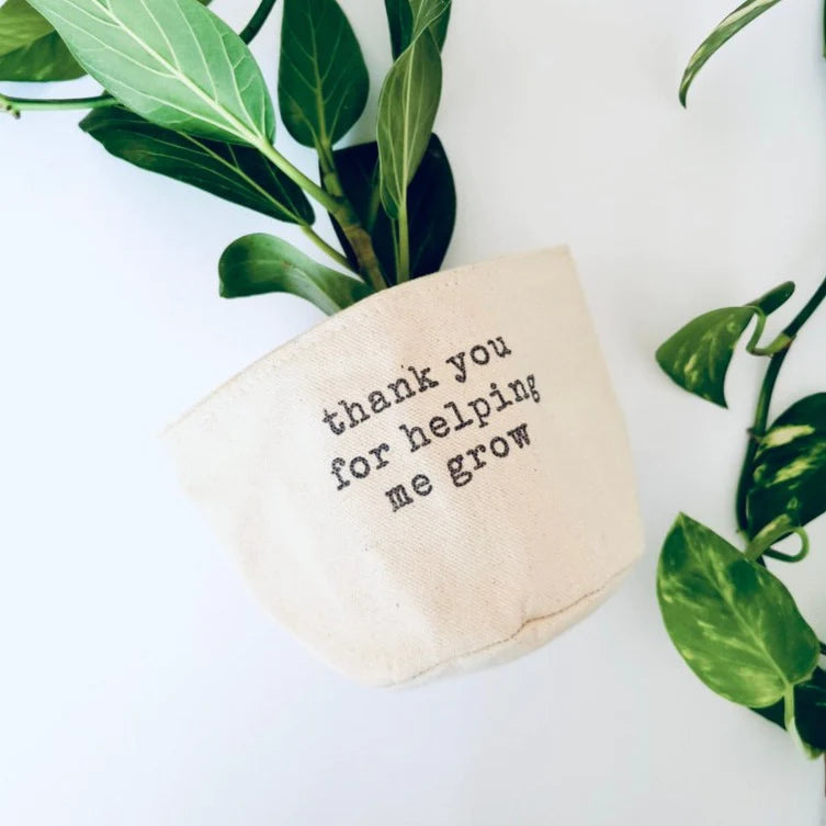 Leaf and Root Co. Planters