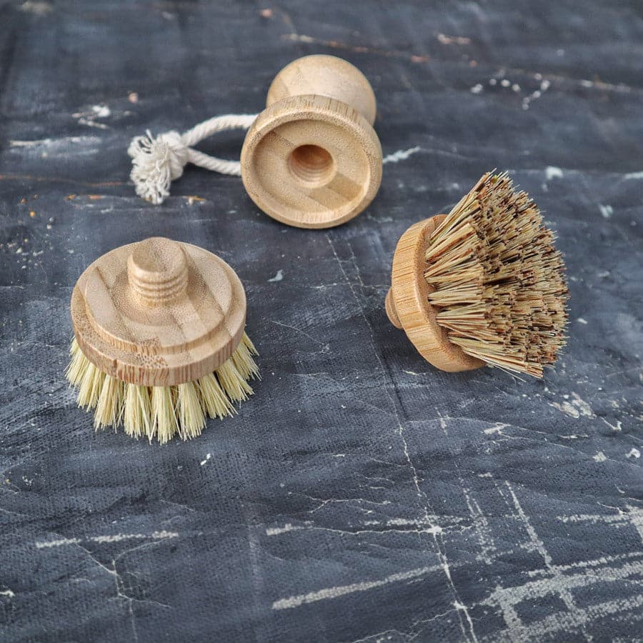 Plantish Hand Brush Replacement Head