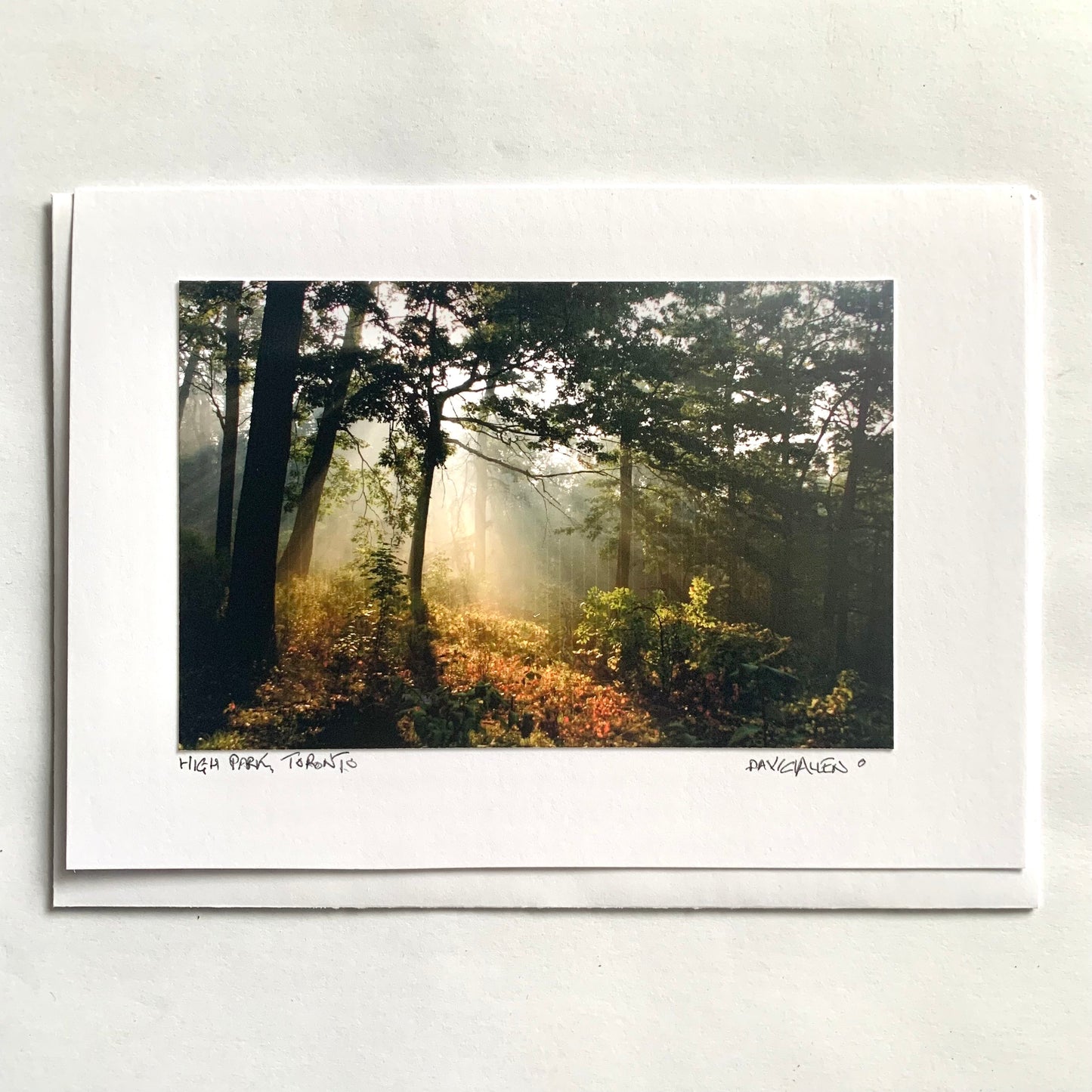 David Allen Photography Card - Sunbeam
