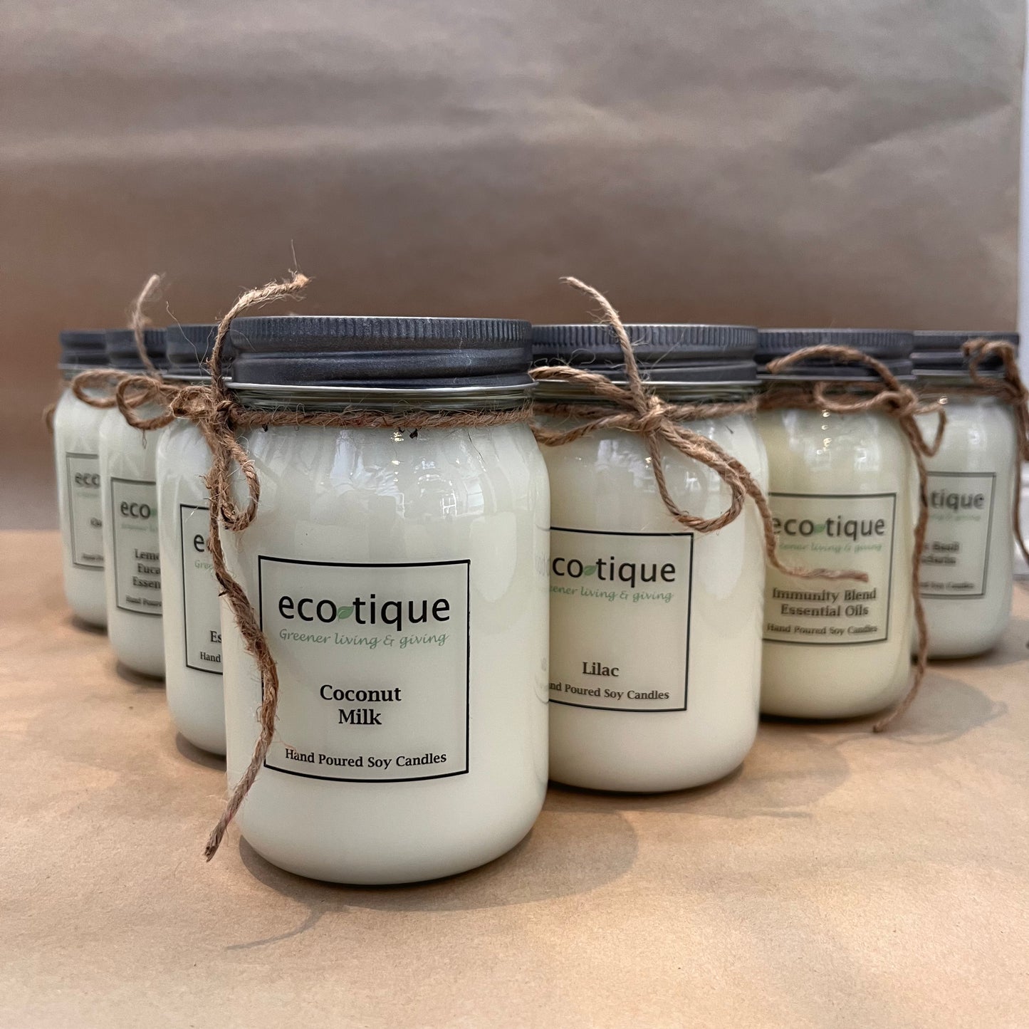 Ecotique Hand Poured Soy Candle - 16oz