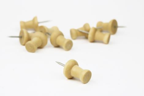 Onyx + Green Bamboo Push Pins