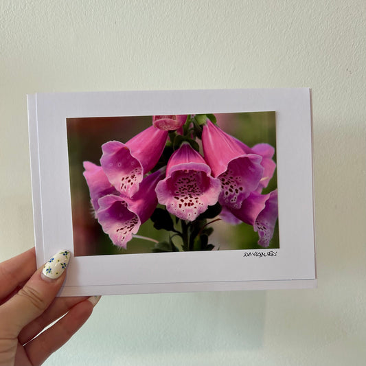 David Allen Photography Card - Pink Foxglove