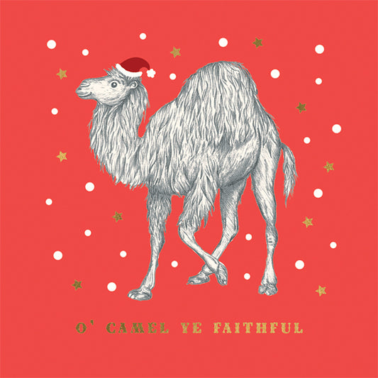 Charity Card Pack of 6- O’ Camel Ye Faithful