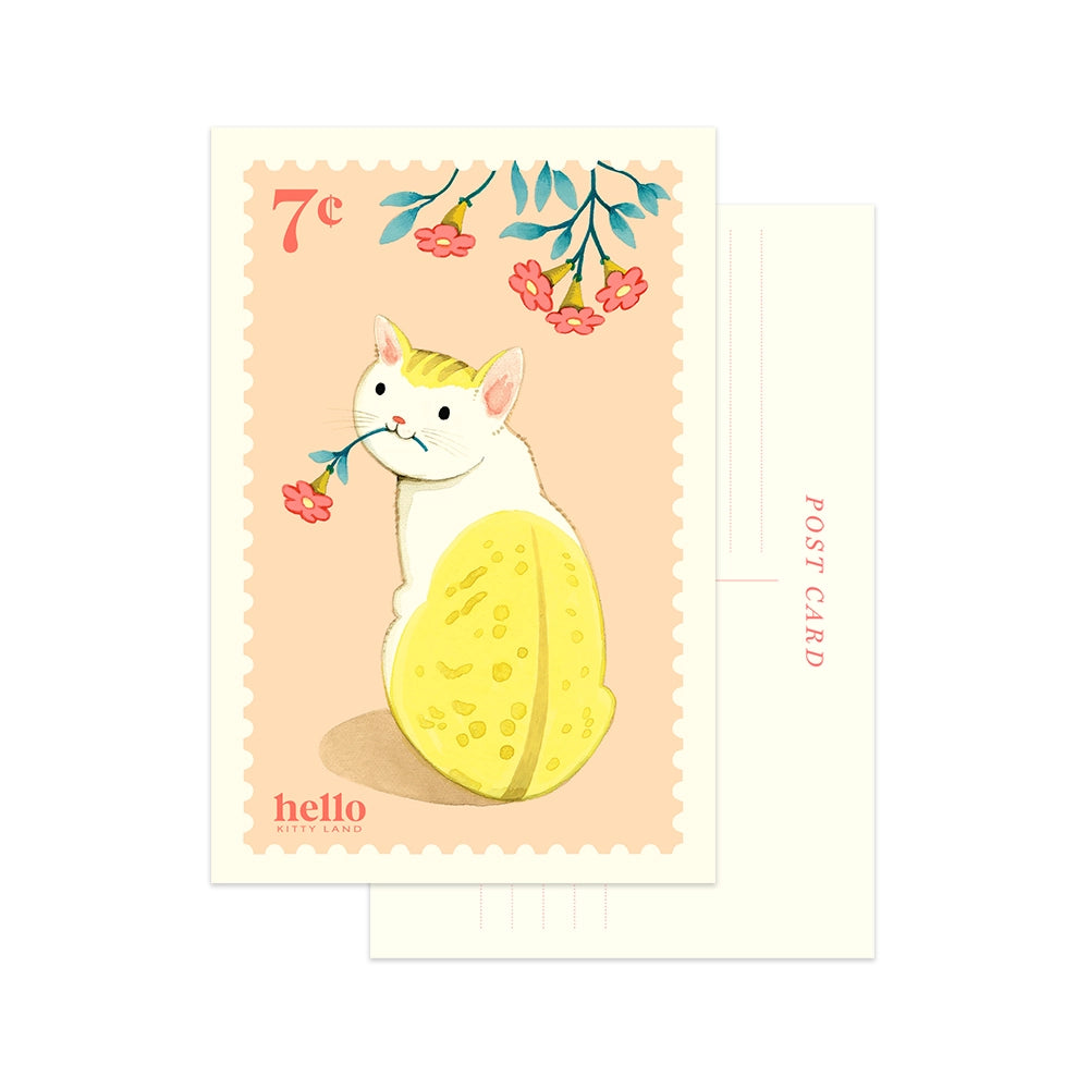 JooJoo Paper Postcard