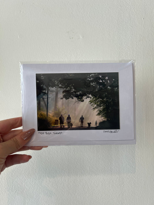 David Allen Photography Card - Sunbeam Walk