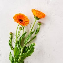 Matter Unscented Natural Sun Care Creme