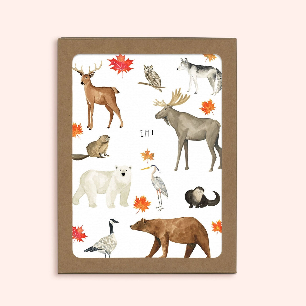 Almeida Illustrations Card - Canada Eh! (Box Set)