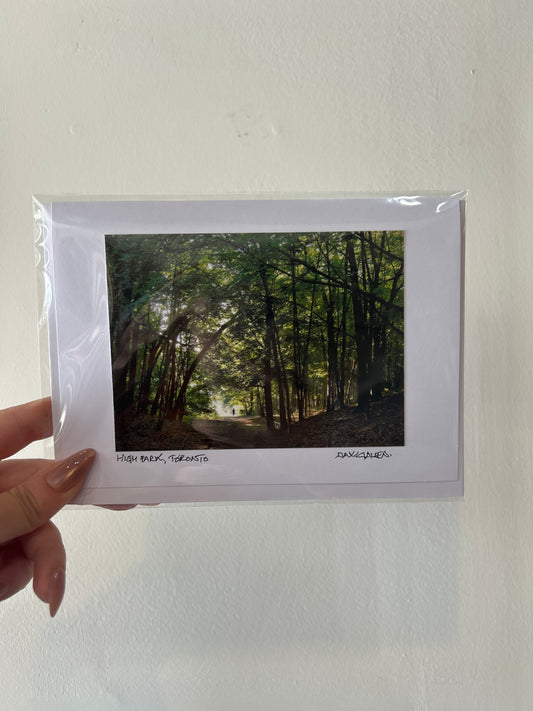 David Allen Photography Card - Forest