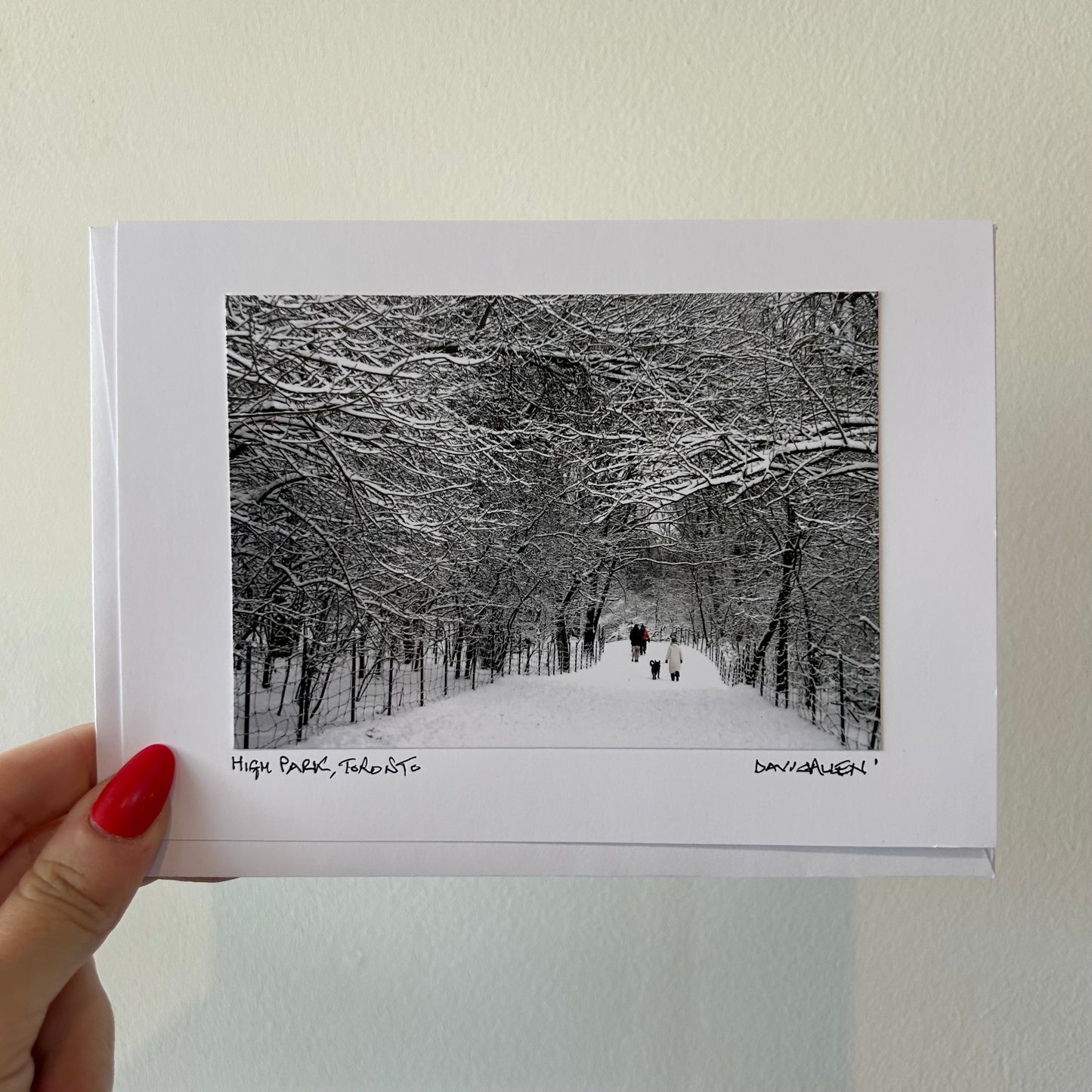 David Allen Photography Card - Snowy Winter High Park Trail