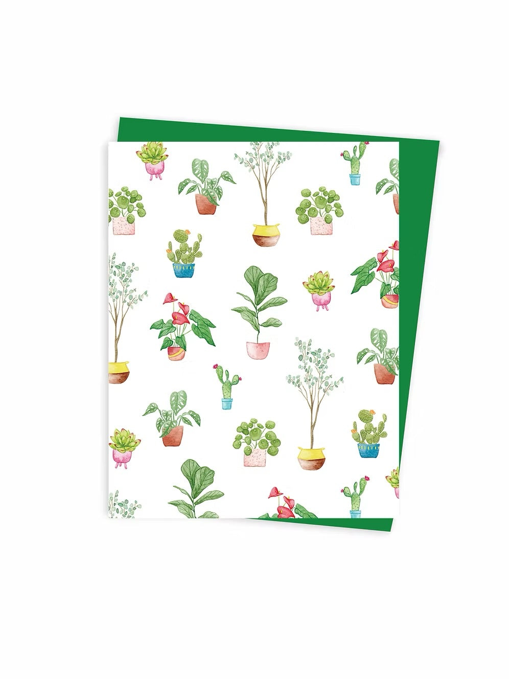 Hobeika Art Card- Potted Plants