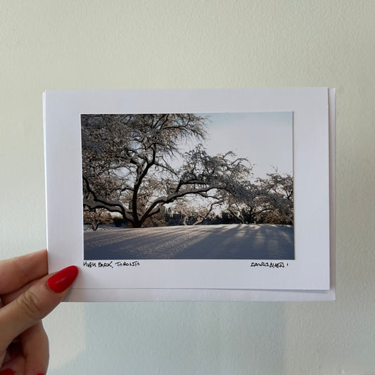 David Allen Photography Card - Snowy Tree