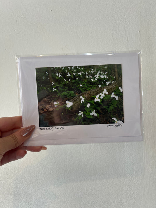 David Allen Photography Card - Trillium Log