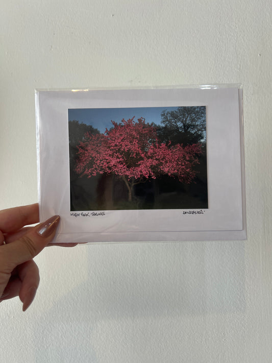 David Allen Photography Card - Pink Tree