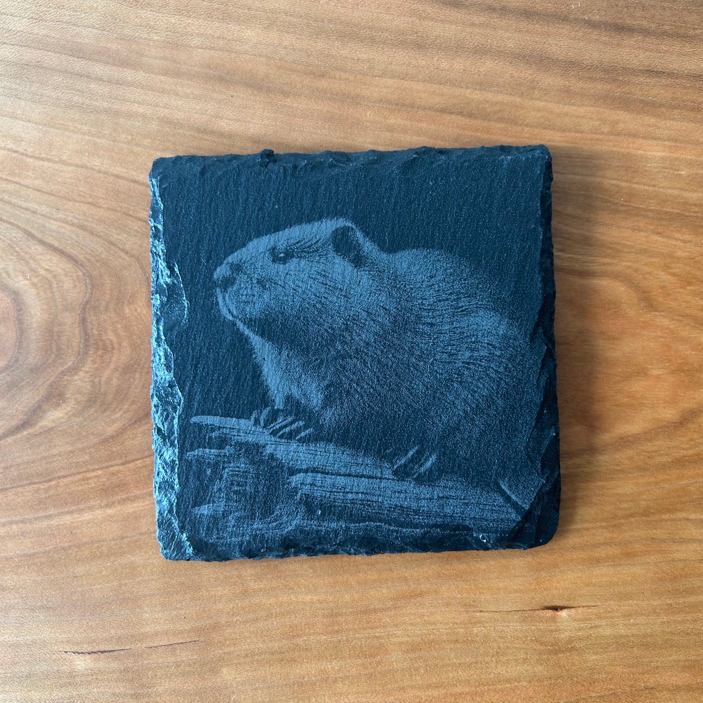 Natural Slate Animal Coasters