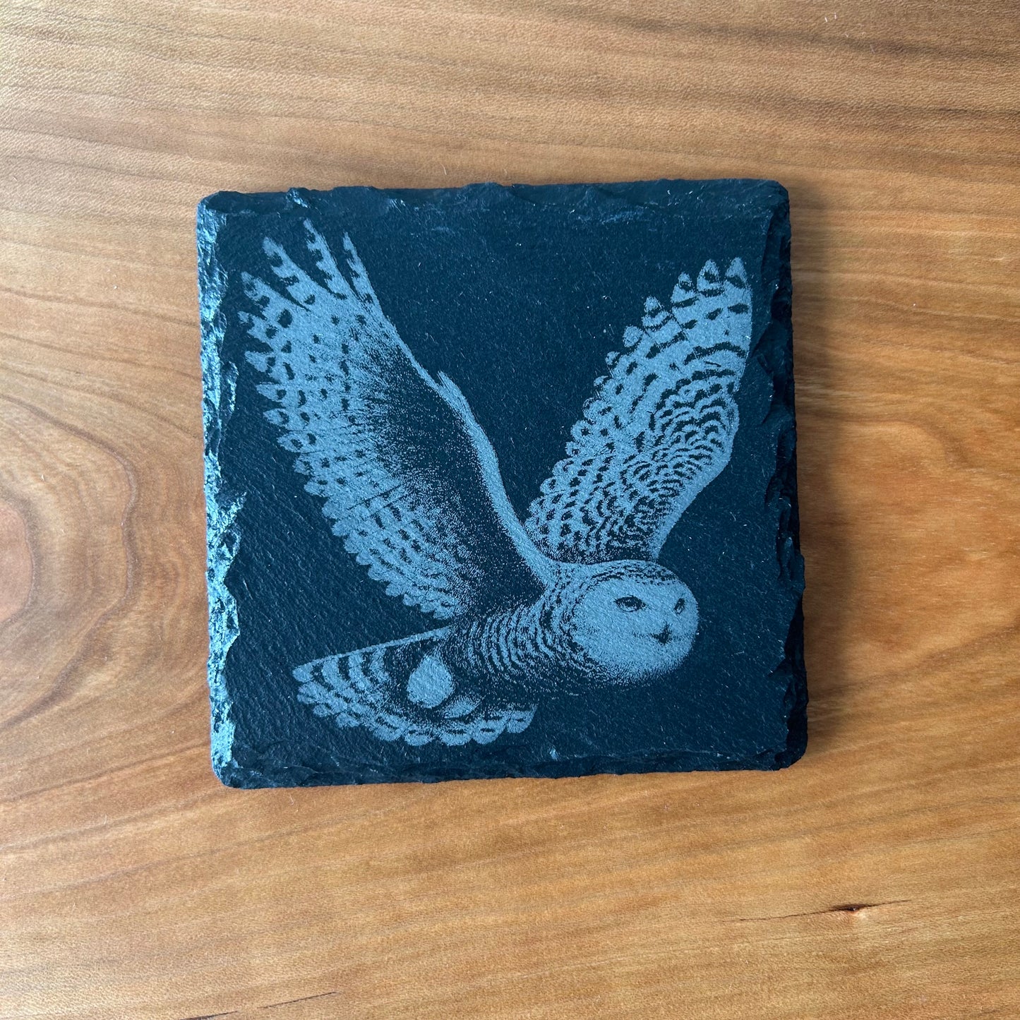 Natural Slate Animal Coasters