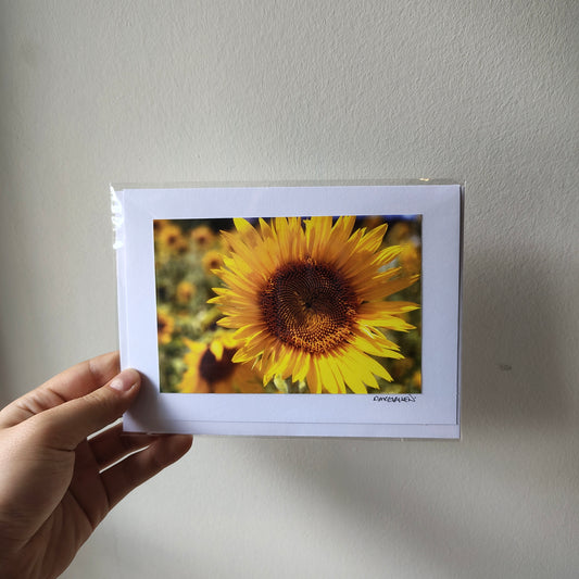 David Allen Photography Card - Sunflower Close-up