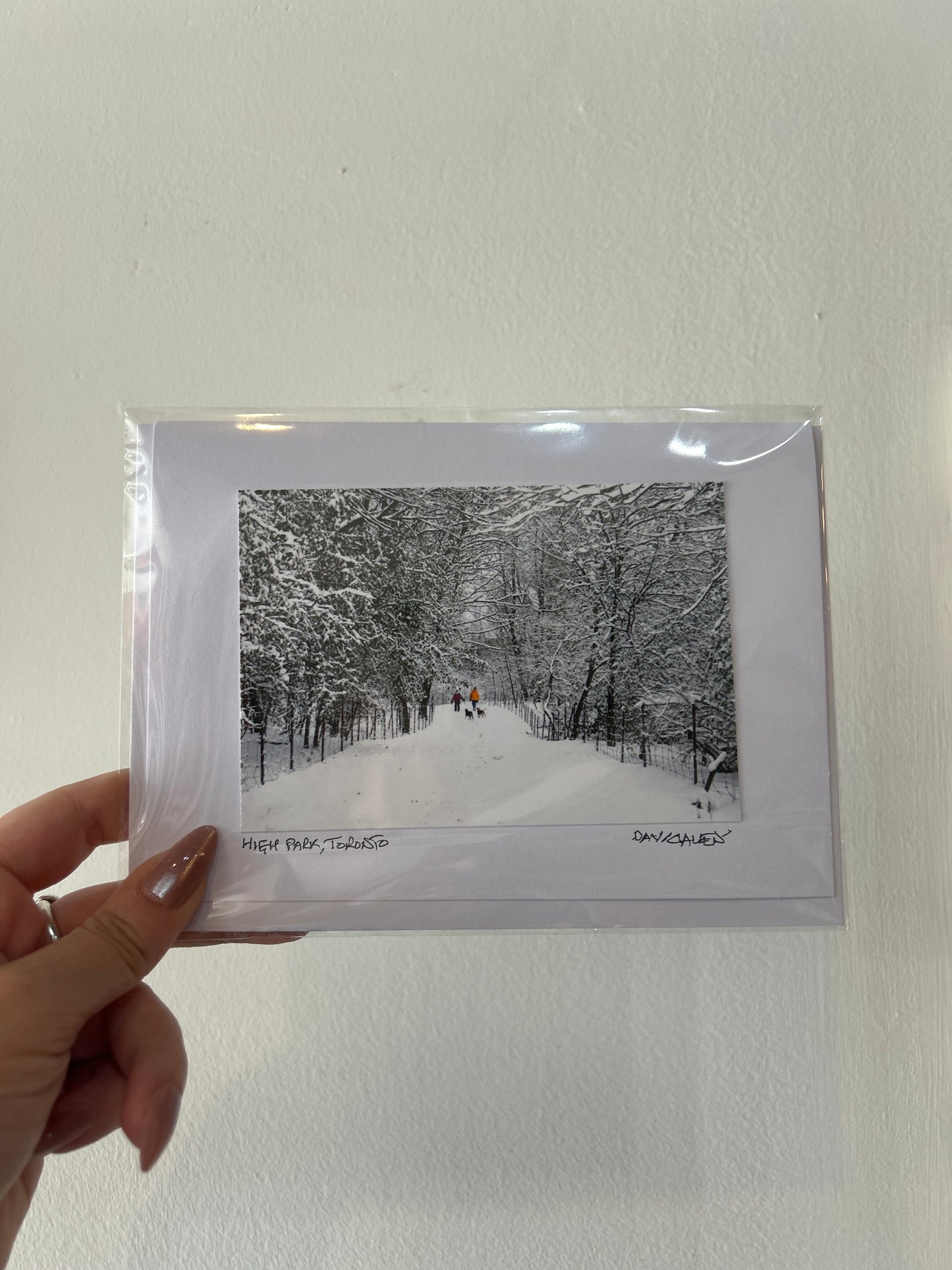 David Allen Photography Card - Winter Trail