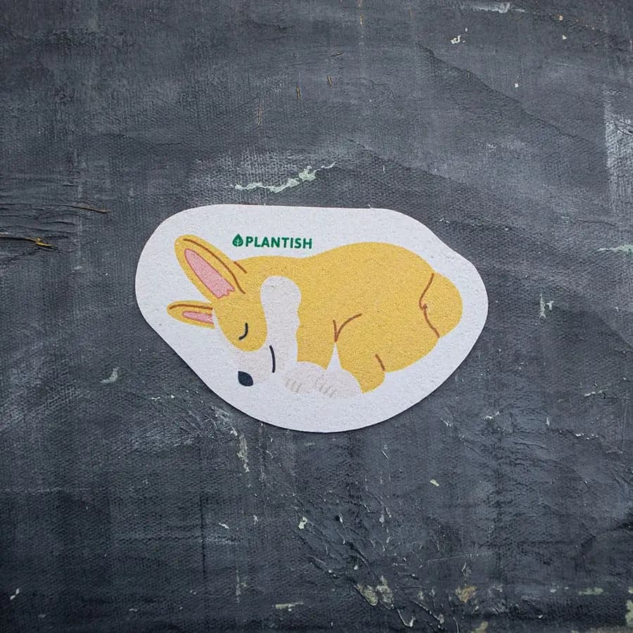 Plantish Plant Based Pop Up Sponge