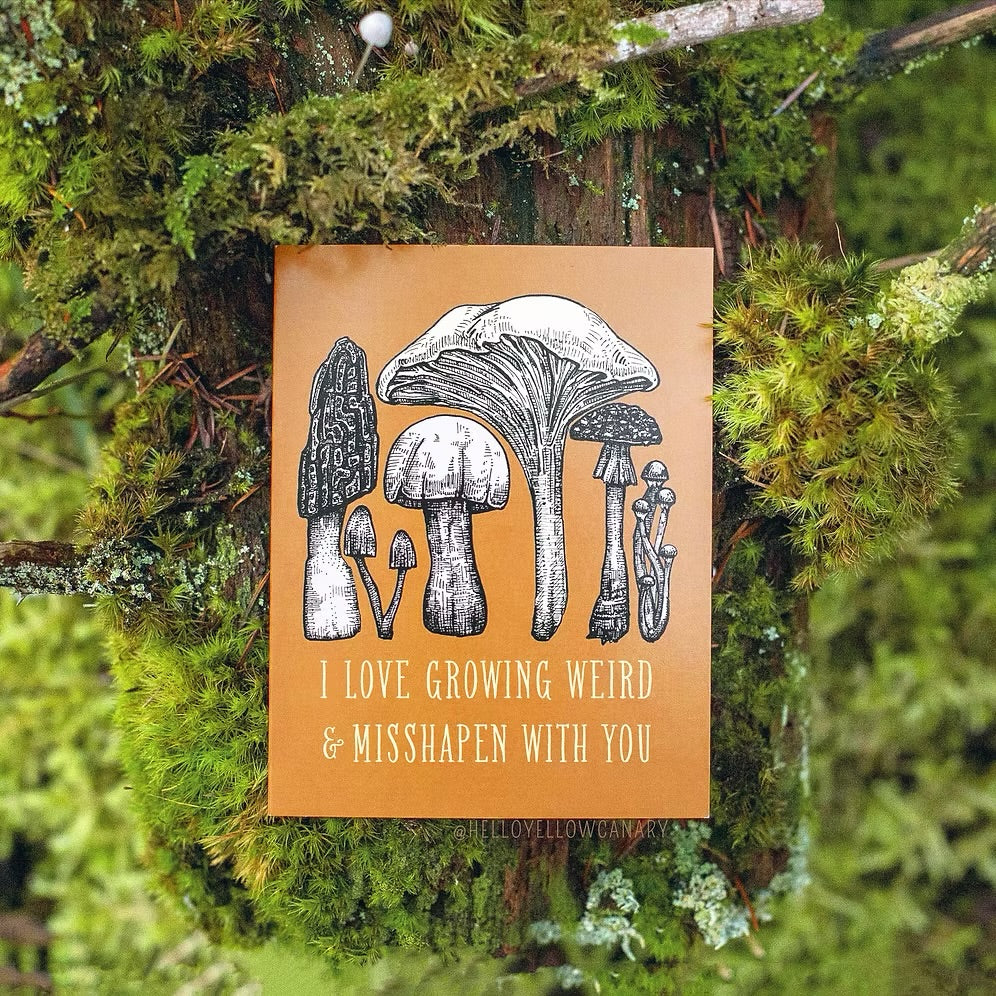 Hello Yellow Canary- Fungi Love