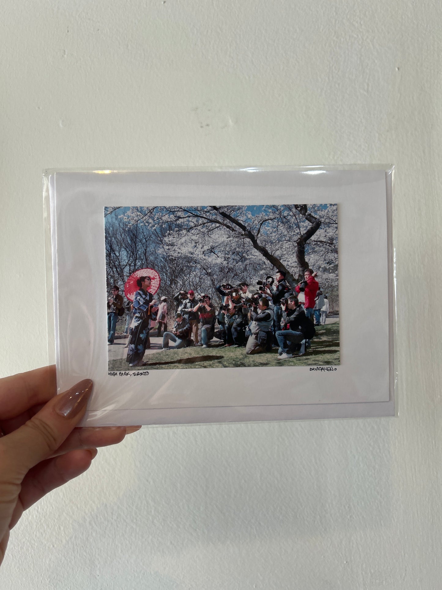 David Allen Photography Card - Cherry Blossom Photoshoot