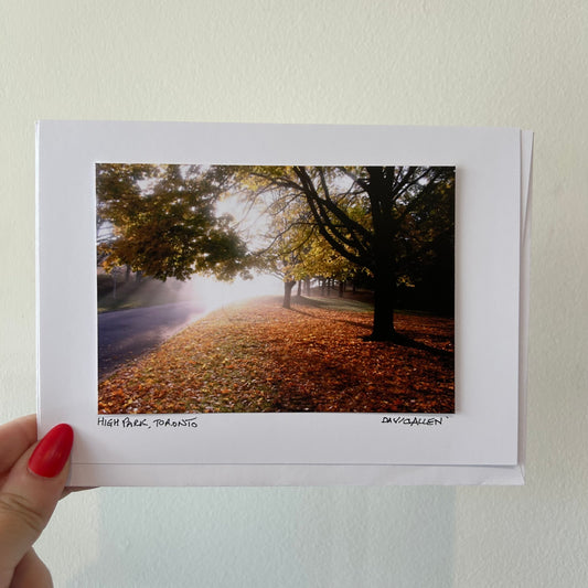 David Allen Photography Card - Foggy Fall Forest