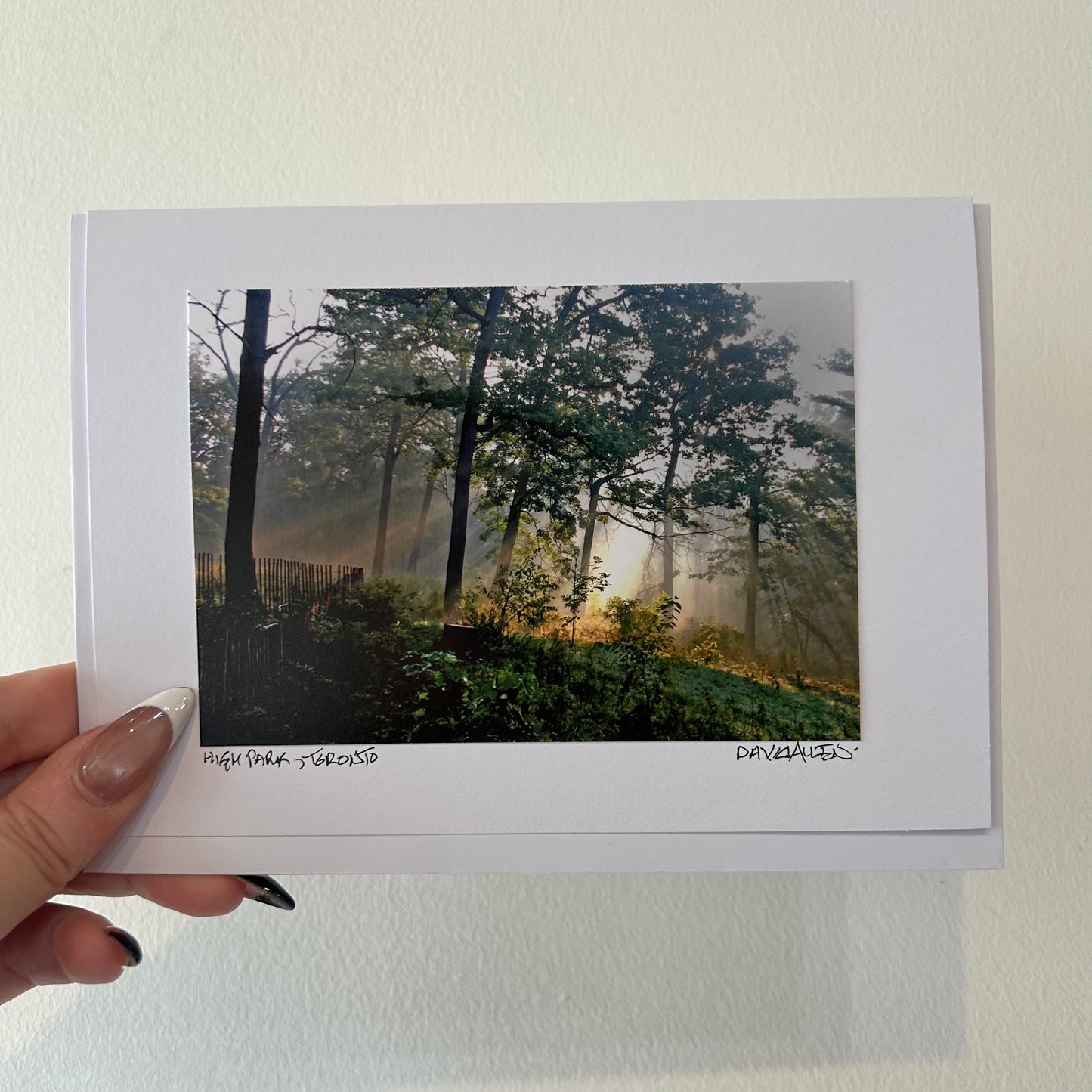 David Allen Photography Card - Wide Sunbeam