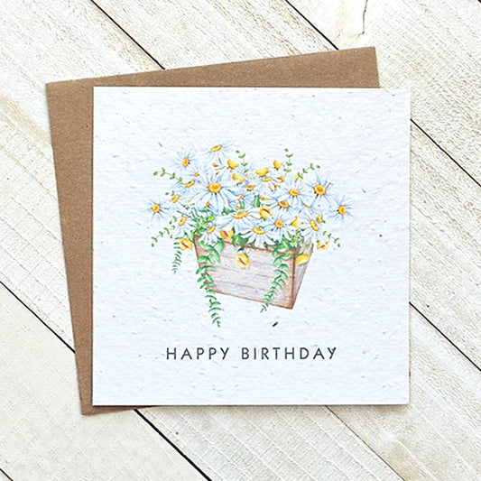 Okku Plantable Card - Daisy Planter Birthday