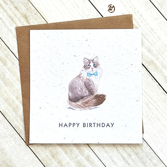 Okku Plantable Card - Bowtie Cat Happy Birthday