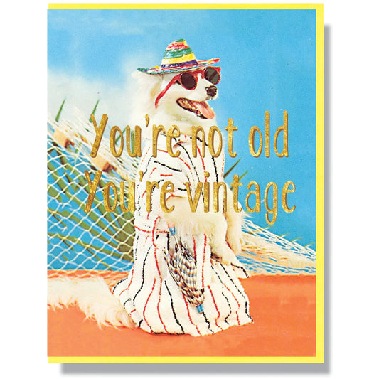 Smitten Kitten Card - You’re Vintage