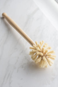 Dish Brush with Extra Long Handle