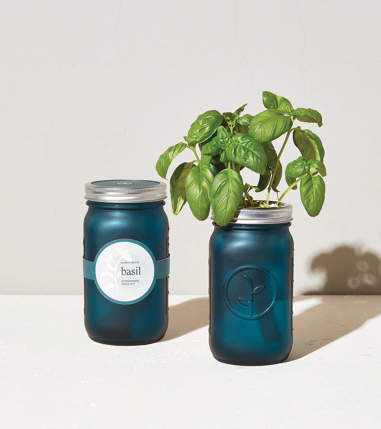 Modern Sprout Garden Jar